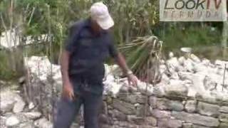 Bermuda Dry Stone Wall Making as seen on LookTV [upl. by Anotyal394]