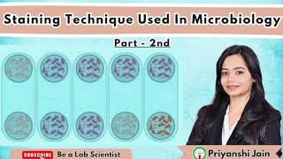 Staining Techniques used in Microbiology PART II [upl. by Caswell12]