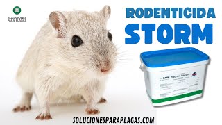 Rodenticida Raticida Veneno para ratas STORM soluciones para plagas 2023 [upl. by Arobed]