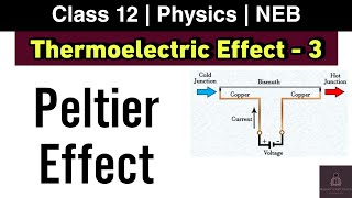 Peltier Effect  Thermoelectric Effect L3  Class 12 Physics NEB  Nepali ScienceGuru [upl. by Teressa307]