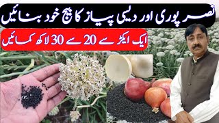 Onion seed preparation method  ￼ onion seed farming [upl. by Dwayne363]