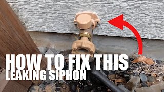 How to Replace a Woodford Model 17 Vacuum Breaker on a leaking water spigot [upl. by Eillek]