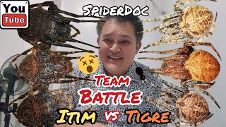 TEAM BATTLE TEAM ITIM vs TIGRE 3 ROUNDS Derby Rules Spider Fight Loaded Fight NAMELESS LOAD [upl. by Eekram]