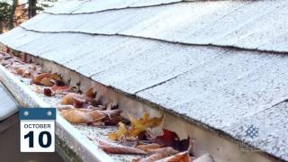 Do Leaves Clog AluRex Gutter Guards October TimeLapse [upl. by Royd161]