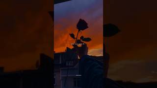 Baaton Ko Teri ❤️‍🩹🥀  Aesthetic Video 🦋  Lyrics  trending shortsviral [upl. by Weismann174]