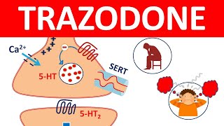 Trazodone tablets and Important Side effects [upl. by Navar]