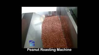 Peanut Roasting Machine Raw Peanuts in Roaster Hopper Roasting Belt Running Texture ZBucket Elevator [upl. by Marius]