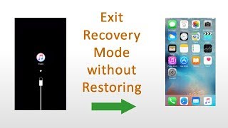 Get out of Recovery Mode without Restoring  ReiBoot [upl. by Aima]