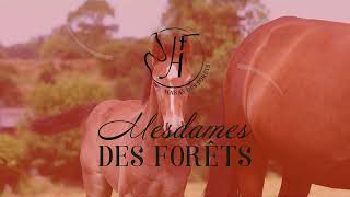 20 LAVANDE DES FORETS [upl. by Ahsuat101]