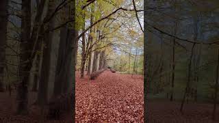 Hatchlands Park National Trust East ClandonEngland [upl. by Floeter]