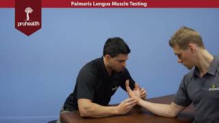 Palmaris Longus Muscle Test Palp Dr Vizniak Muscle Manual [upl. by Ylera810]