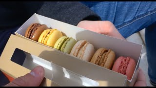 17 Macaron Tasting McDonalds vs Ladurée [upl. by Drud661]