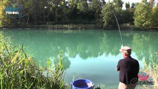 Pesca con la bolognese sul fiume Mincio [upl. by Ammadis]