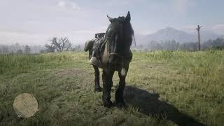 RDR2 New Horse Grullo Dun Breton [upl. by Philipines]