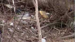 Those Along the Delaware River Complain About Trash [upl. by Eniawd]