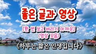 《좋은 글과 영상》하루는 짧은 인생입니다한번보고 버리기 아까운 영상 모음감사합니다⚘️ [upl. by Elwee]