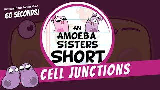 Cell Junctions  Amoeba Sisters Shorts [upl. by Fancy]