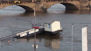 Hochwasser Dresden 19092024 [upl. by Anuaik944]