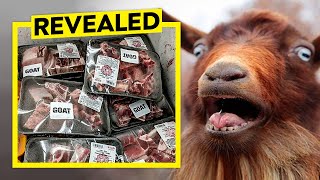 Supermarkets Want To NORMALIZE Goat Meat Heres Why [upl. by Eirrab]