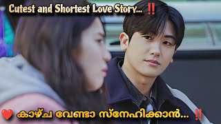 Two Lights Relumino 2015 Korean Movie Malayalam Explanation MOVIEMANIA25 Love story [upl. by Klarika]