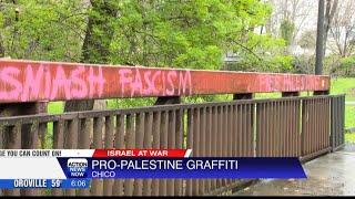 ProPalestine graffiti showing up across Chico [upl. by Fortna]