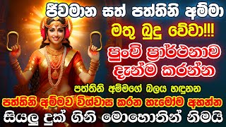 මෙය ශ්‍රවණය කරන ඔබට උතුම් සත් පත්තිනි අම්මා පිහිටයි  Dewa Katha Pattini Songs Paththini Maniyo Song [upl. by Akitahs988]