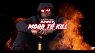 Roney  Mood To Kill Official Video [upl. by Uohk320]