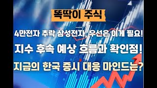 4만전자 추락한 삼성전자 우선은 이게 필요 후속 지수 예상 흐름과 대응 마인드 녹화 2024 11 14 20 04 41 459 [upl. by Ahsataj436]