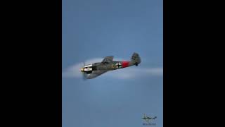 FockeWulf Fw190 tailchasing a Supermarine Spitfire vintageaircraft aviation dogfight avgeek [upl. by Ominoreg]