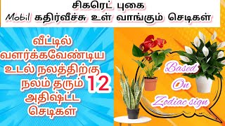 🪴Indoor plants Benefits Based on zodiac signவாஸ்த்து செடிங்கள் l வேடிக்கை பார்க்கலாம் Vedikai [upl. by Earahc486]