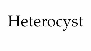 How to Pronounce Heterocyst [upl. by Shulman318]