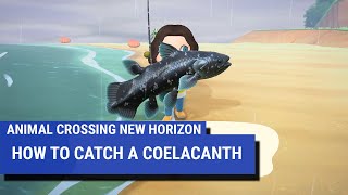 Animal Crossing New Horizons  How to catch a Coelacanth [upl. by Tsui]