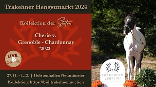 53  Cherie  Stute v Grenoble  Chardonnay 2022 [upl. by Vanna]