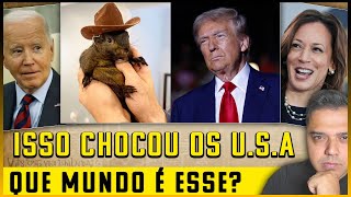 Isso é REVOLTANTE Estados Unidos CHOCADOS [upl. by Veejar]