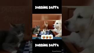 Chess Grandmaster 🤣 funny cat shorts comedy shortsfeed funnyanimals catlover chess cats [upl. by Chao548]