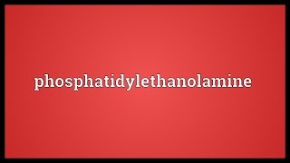 Phosphatidylethanolamine Meaning [upl. by Babara]