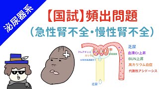 【国試対策】急性腎不全と慢性腎不全 [upl. by Jackson]