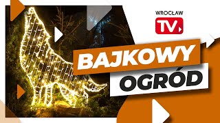 Magiczny świat iluminacji w Ogrodzie Botanicznym  Wrocław TV [upl. by Maise]