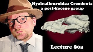 Lecture 80a Hyainailouroidea Creodonts a postEocene group [upl. by Llerrud405]