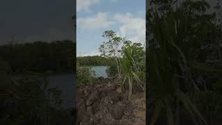 Cycling Anahita Golf amp Spa Resort Mauritius bike [upl. by Dinsdale742]