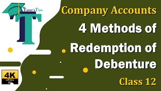 4 Methods of Redemption of Debentures  Accounts Class 12  Explained with Animation [upl. by Annatnas]