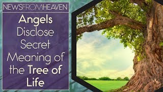 Angels Disclose Secret Meaning of the Tree of Life  News From Heaven [upl. by Africa]