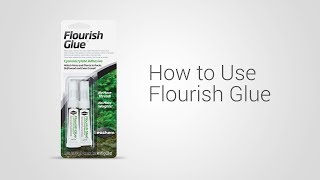 Using Flourish Glue [upl. by Yrac]