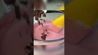 Raspberry amp Dark Chocolate Ice Cream in 1 Minute 🍦 [upl. by Llenrahs]