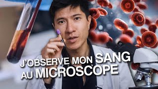 Jobserve mon sang au microscope  Avec Monsieurlechat94 [upl. by Lemmuela339]