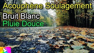 ACOUPHÈNES Soulagement Bruit Blanc Pluie Douce Sons Pluvieux Hyperacousie Oreille Tinnitus Ambience [upl. by Derfla]