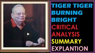 TIGER TIGER BURNING BRIGHT CRITICAL ANALYSIS  SUMMARY EXPLANATION [upl. by Zelten]