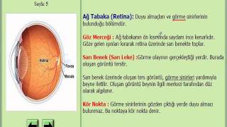 GÖRME ORGANIMIZ GÖZ FEN VE TEKNOLOJİ 7 SINIF KONU ANLATIMI [upl. by Foulk333]