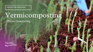 Worm Composting  Vermicomposting  by Tagawa Gardens [upl. by Llerdnek669]