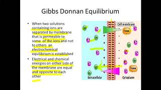 Donnan Equilibrium and Electrogenic ion pump [upl. by Palm225]